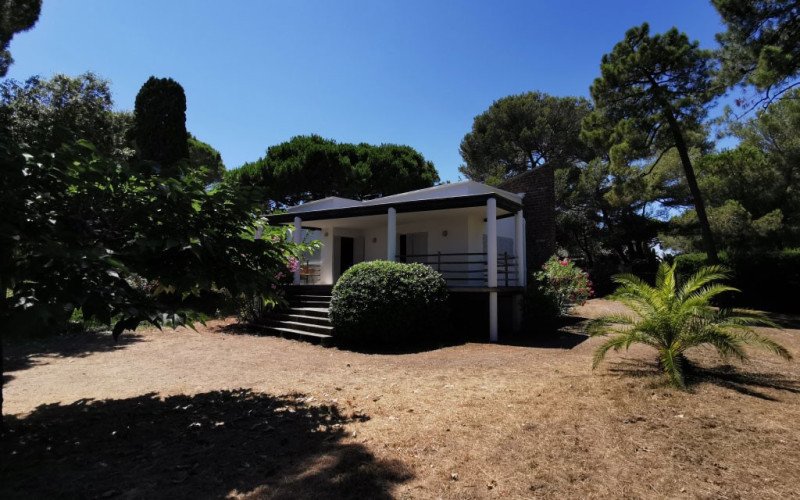 Plage les Salins – Saint Tropez